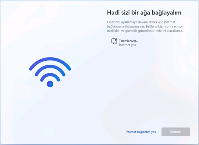 Windows 11 mailsiz kurulum.png