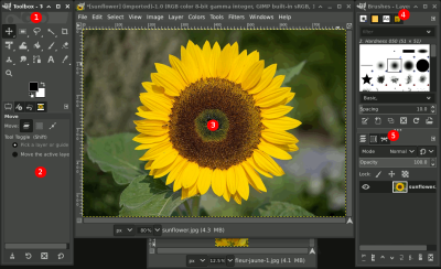 Photoshop Benzeri Ücretsiz Program.png