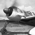 Focke-Wulf Türkiyede Gömülü Gizli Alman Nazi Uçakları